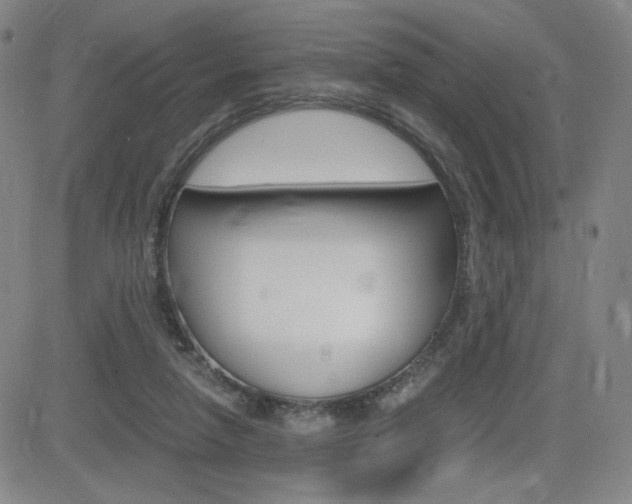 X0000084570258200702230917