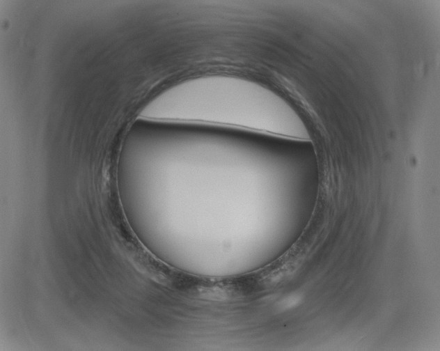 X0000084570259200702230917