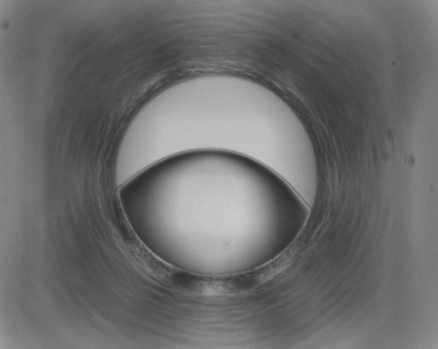 X0000084570264200702230917