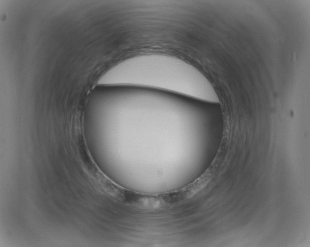 X0000084570272200702230917