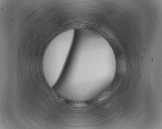 X0000084570274200702230917