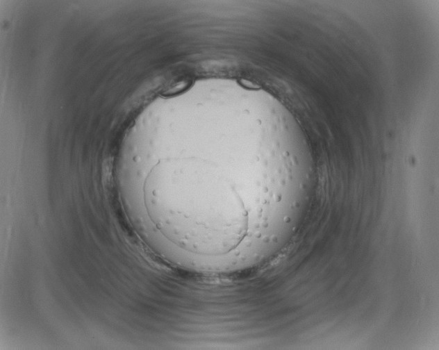 X0000084570278200702230917