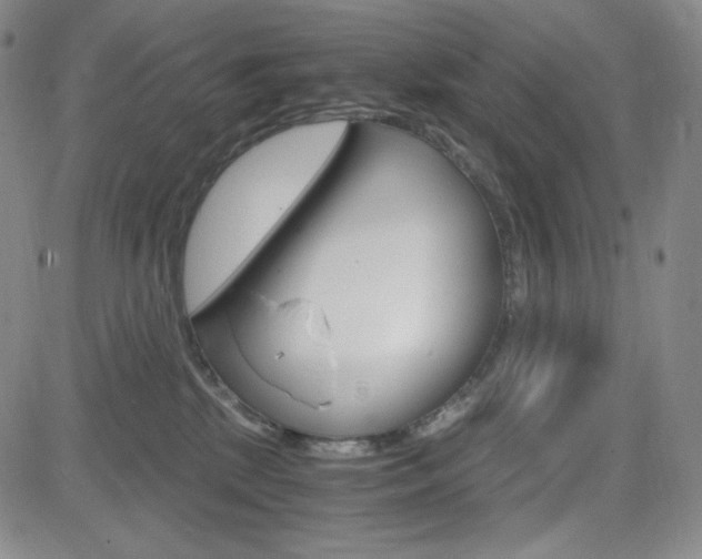 X0000084570281200702230917