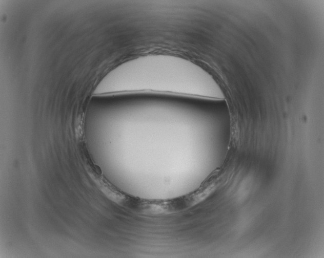X0000084570285200702230917