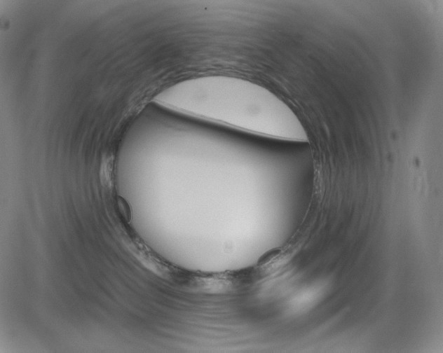 X0000084570286200702230917