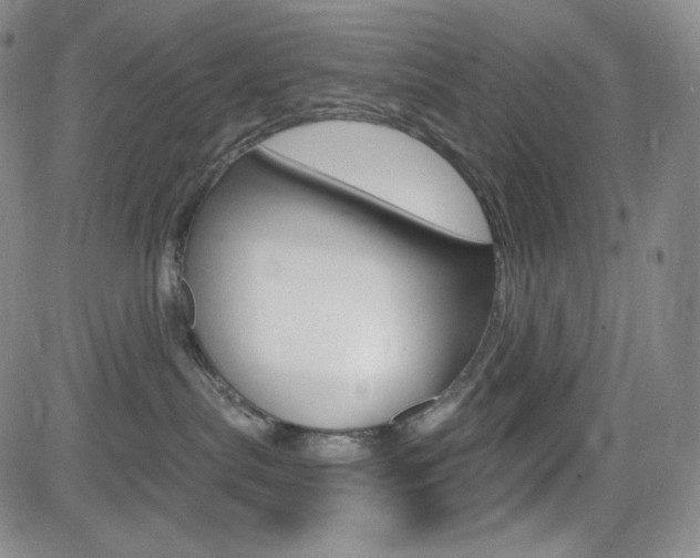 X0000084570287200702230917