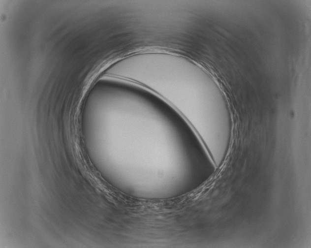 X0000084570289200702230917
