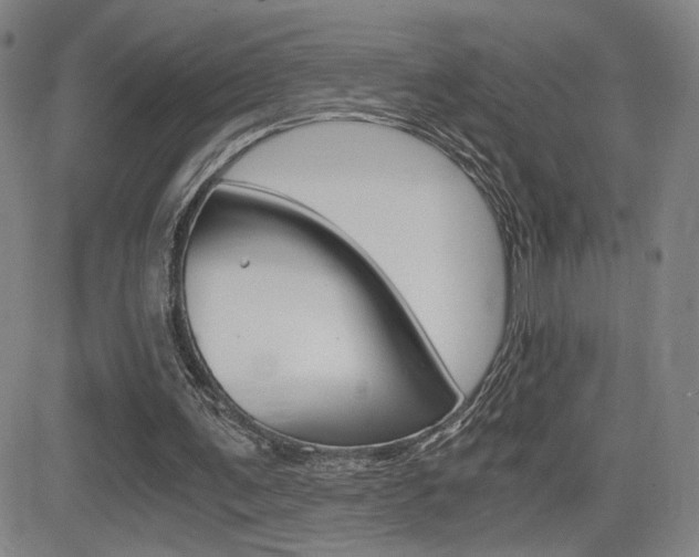 X0000084570291200702230917