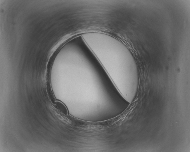 X0000084570292200702230917