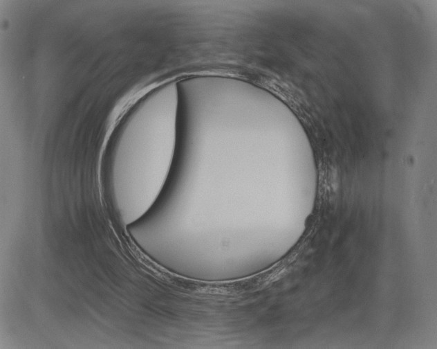 X0000084570294200702230917