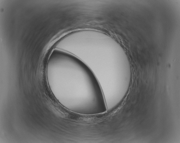 X0000084570295200702230917