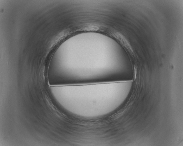 X0000084570300200702230916