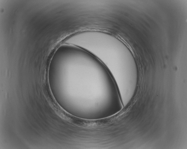 X0000084570301200702230916