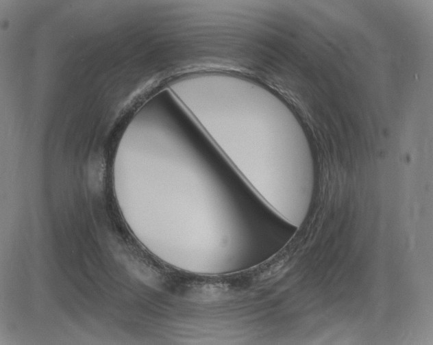 X0000084570304200702230916