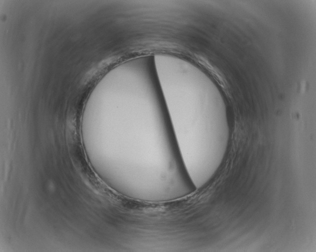 X0000084570306200702230916