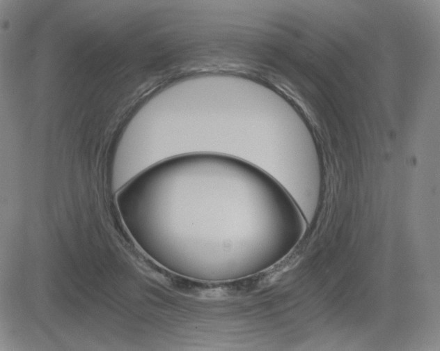 X0000084570309200702230916
