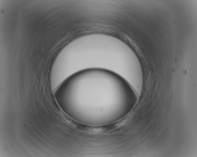 X0000084570313200702230916