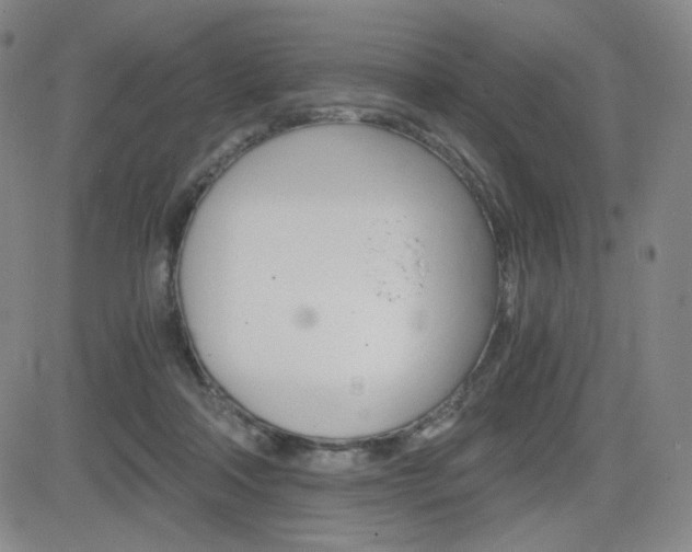 X0000084570314200702230916