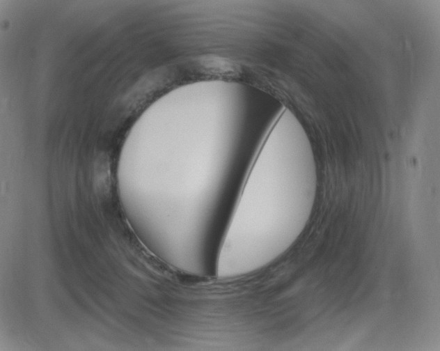 X0000084570320200702230916