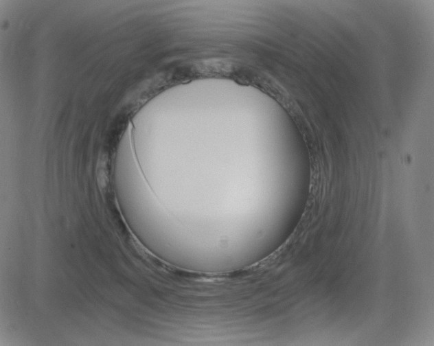 X0000084570323200702230916