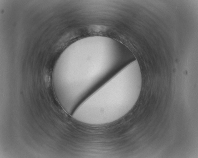 X0000084570324200702230916
