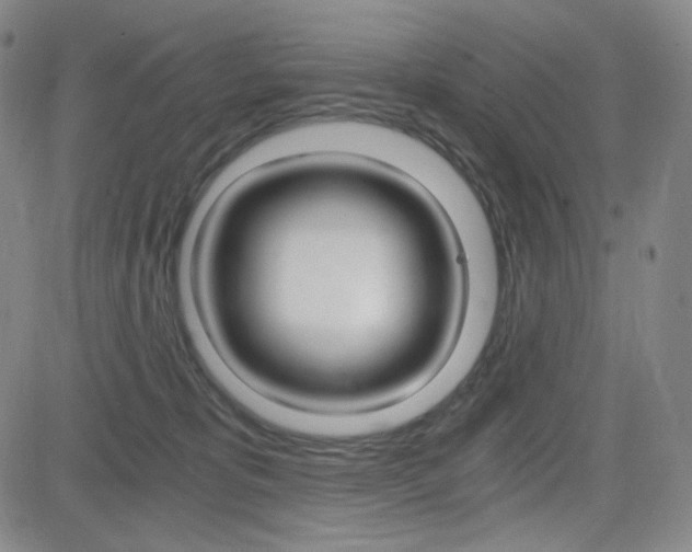 X0000084570325200702230916