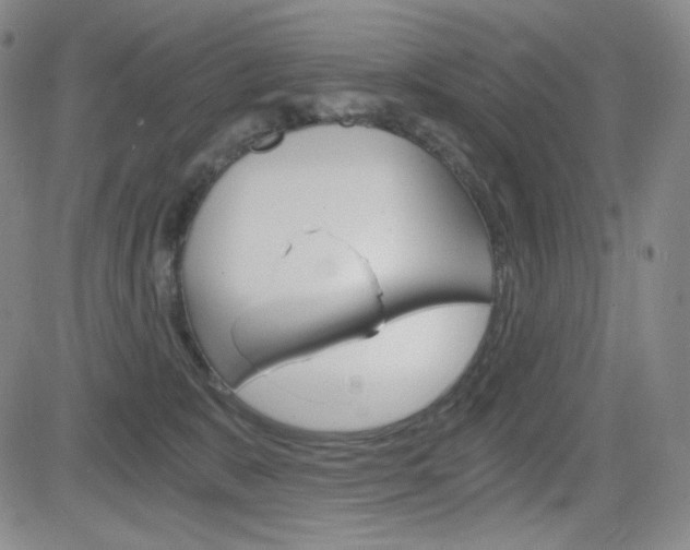 X0000084570327200702230916