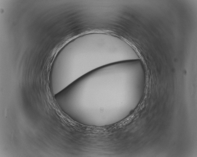 X0000084570337200702230915