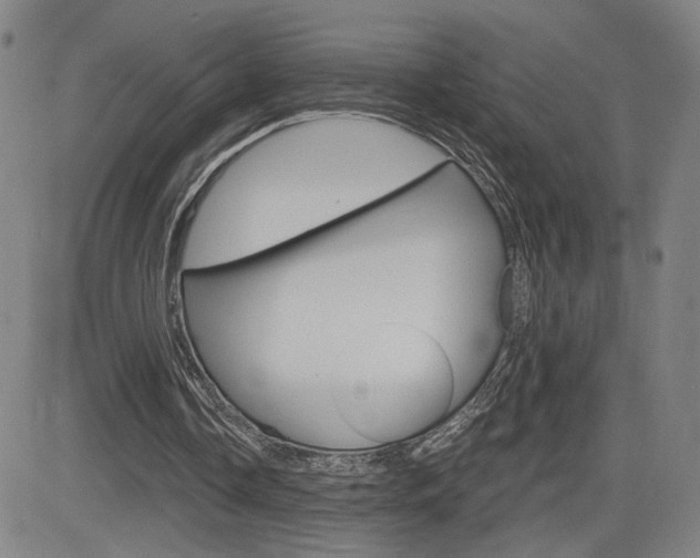 X0000084570338200702230915