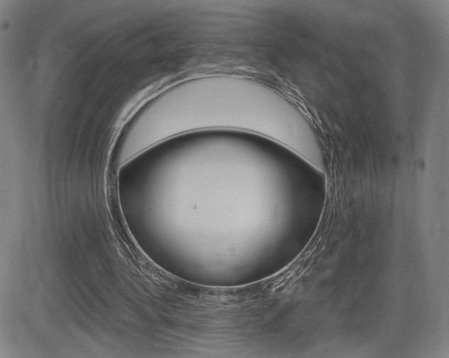 X0000084570340200702230915