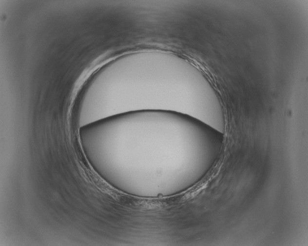 X0000084570343200702230915