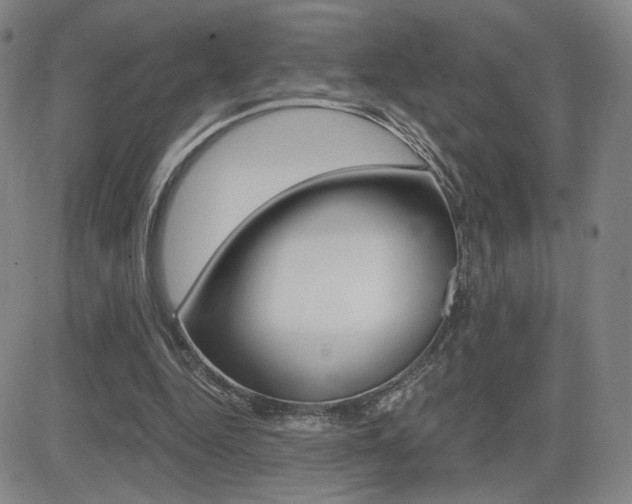 X0000084570344200702230915