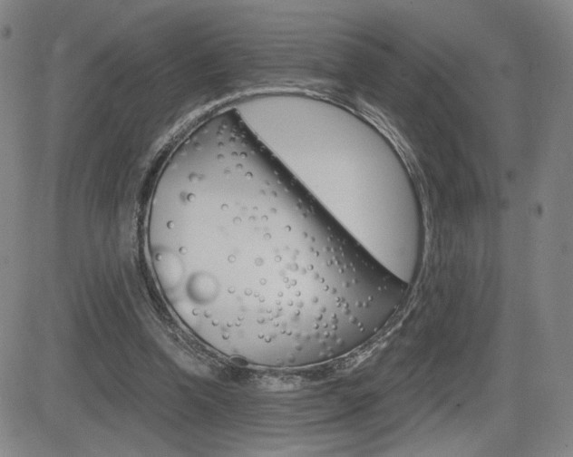 X0000084570346200702230915