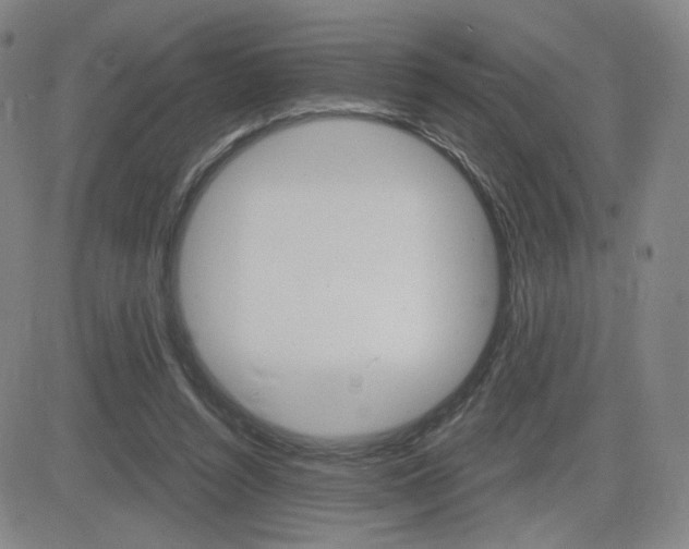 X0000084570352200702230915