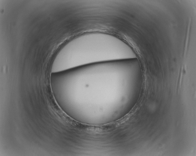 X0000084570354200702230915