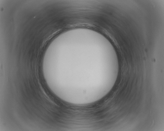 X0000084570356200702230915