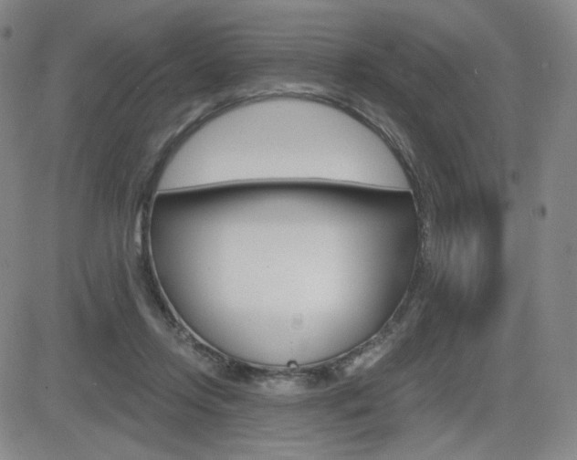 X0000084570358200702230915