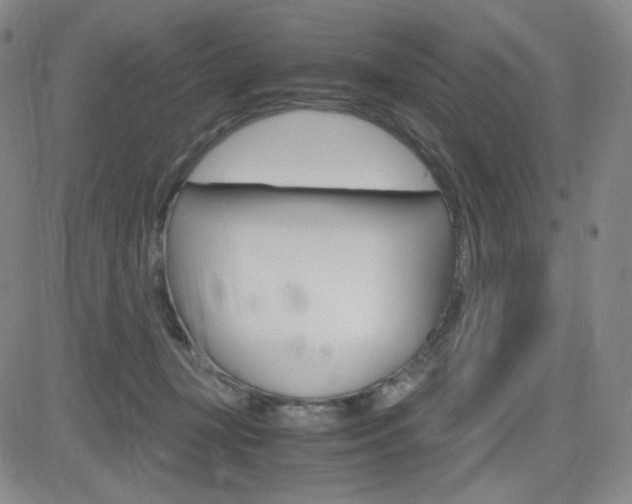 X0000084570367200702230916