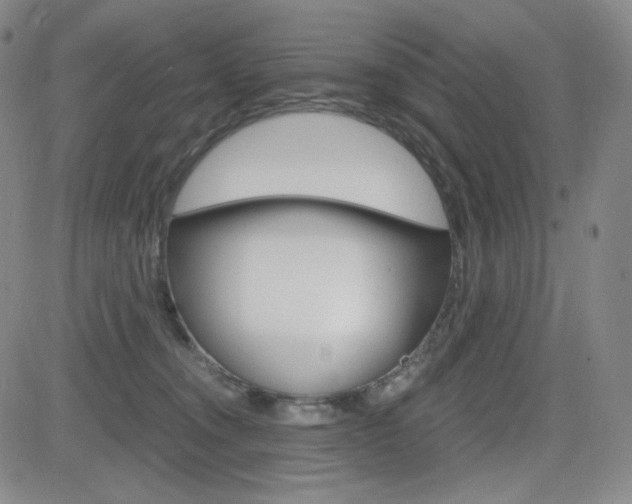 X0000084570372200702230916