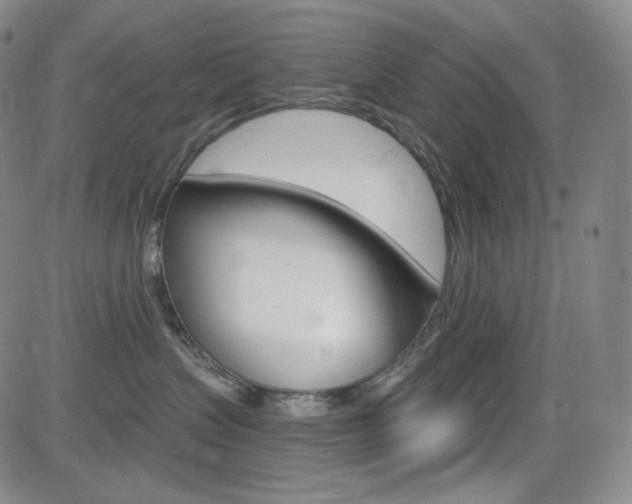 X0000084570383200702230916