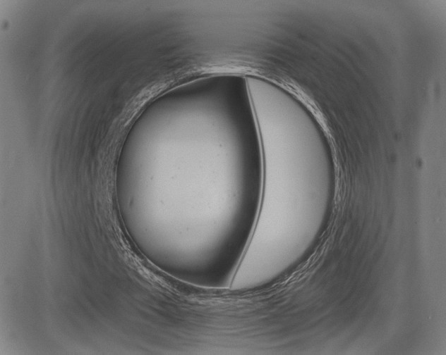X0000084570385200702230915