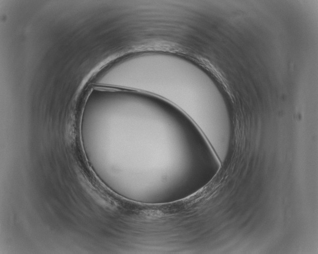 X0000084570392200702230915