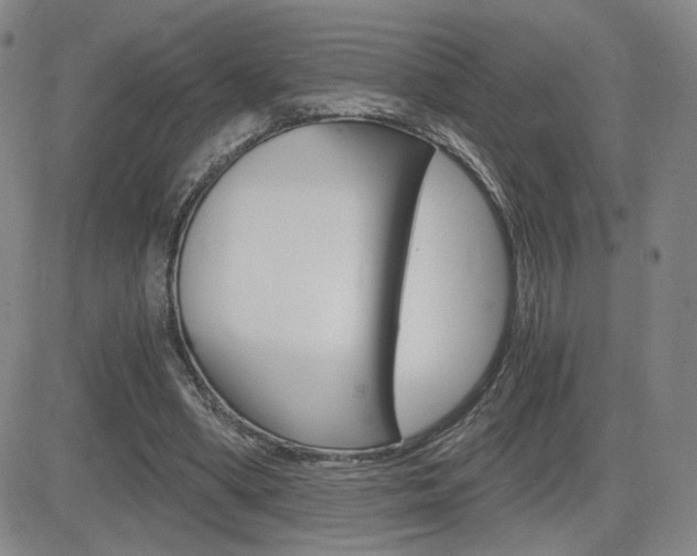 X0000084570394200702230915