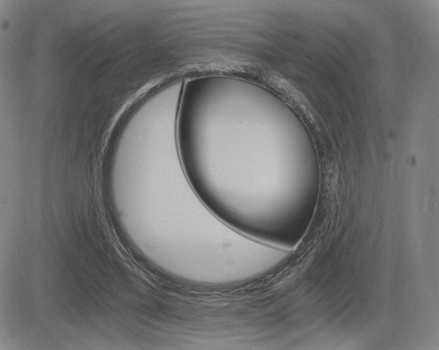 X0000084570395200702230915