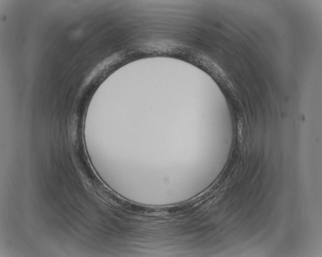 X0000084570396200702230915