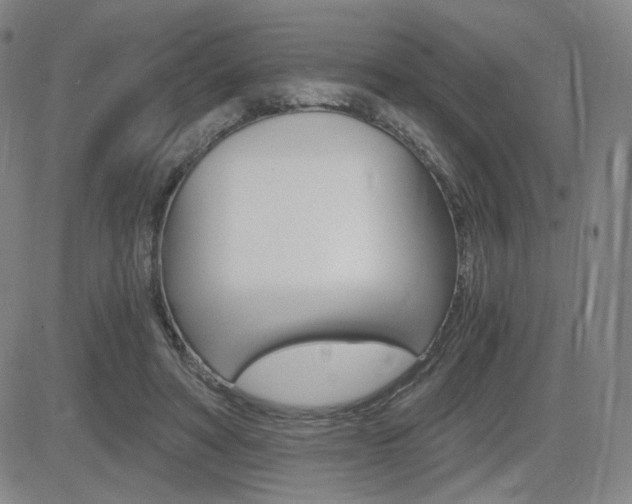 X0000084570402200702230915