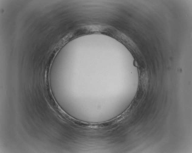 X0000084570406200702230915