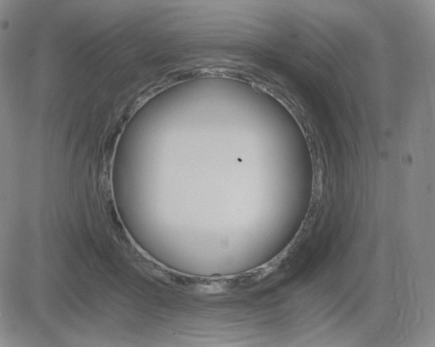 X0000084570411200702230915