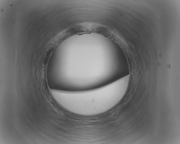 X0000084570413200702230915