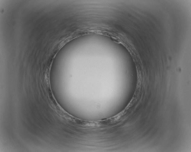 X0000084570415200702230915